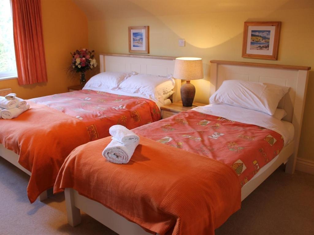 Blossom Hill Bed And Breakfast Killaloe Eksteriør billede